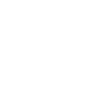 Lovely Pet — Banho e Tosa